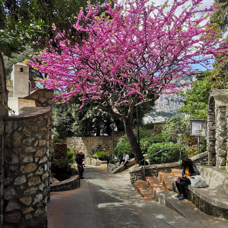 Il Blu Villa Capri Bagian luar foto